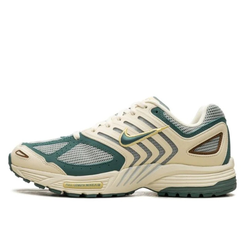 Nike Air Peg 2K5 Bicoastal - 1