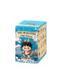 Pop Mart Labubu The Monsters x One Piece Series Single Blind Box - 1