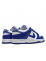 Nike Dunk Low SP Kentucky Varsity Royal--CU1726-100-Limited Resell 