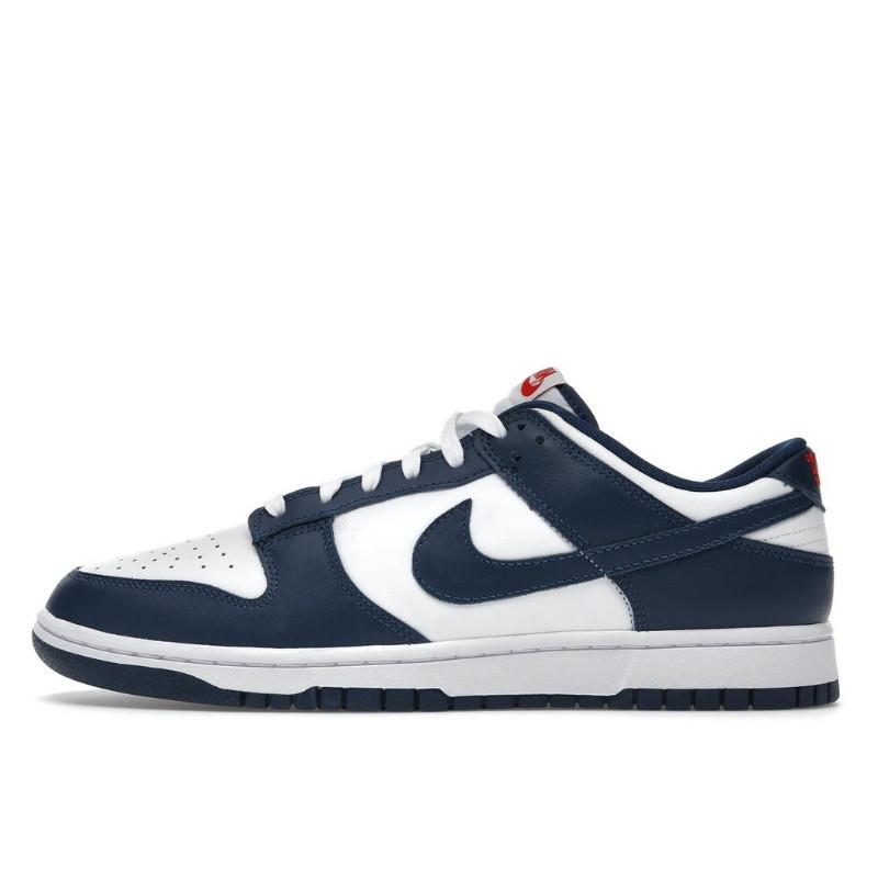 Nike Dunk Low Valerian Blue - 1