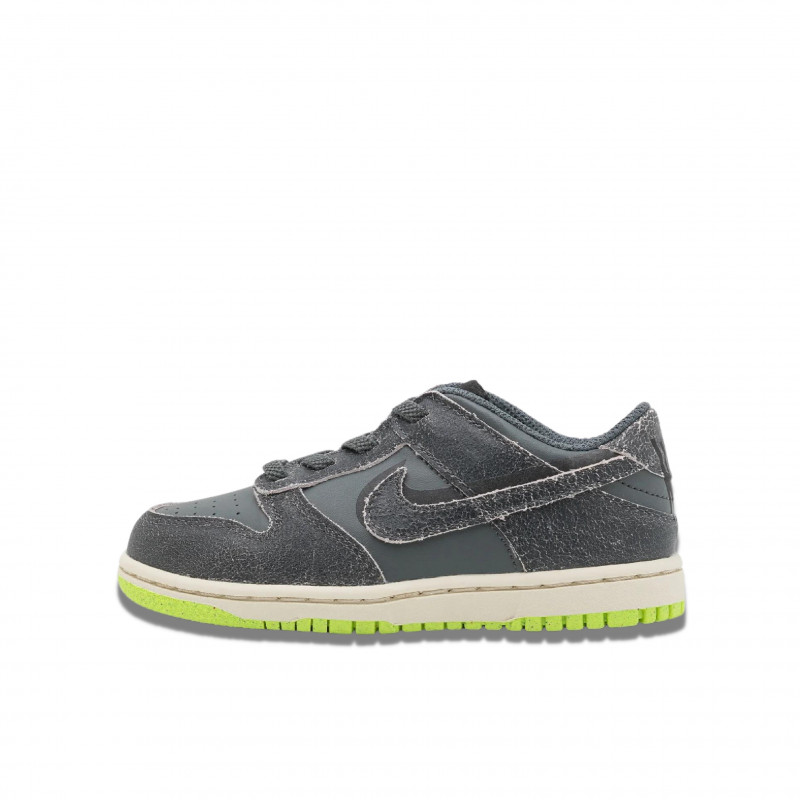 Nike Dunk Low Swoosh Shadow Iron Grey (2022) Bambino e Neonato - 1