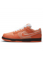 Nike SB Dunk Low Concepts Orange Lobster - 1