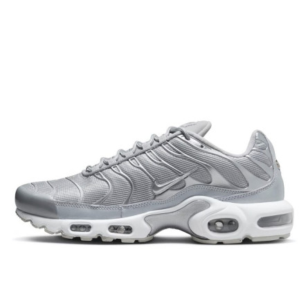 Nike Air Max Plus Argento metallizzato - 1