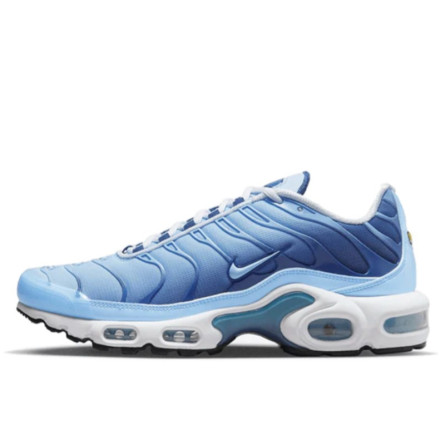 Air Max Plus Blu Università Gradiente - 1